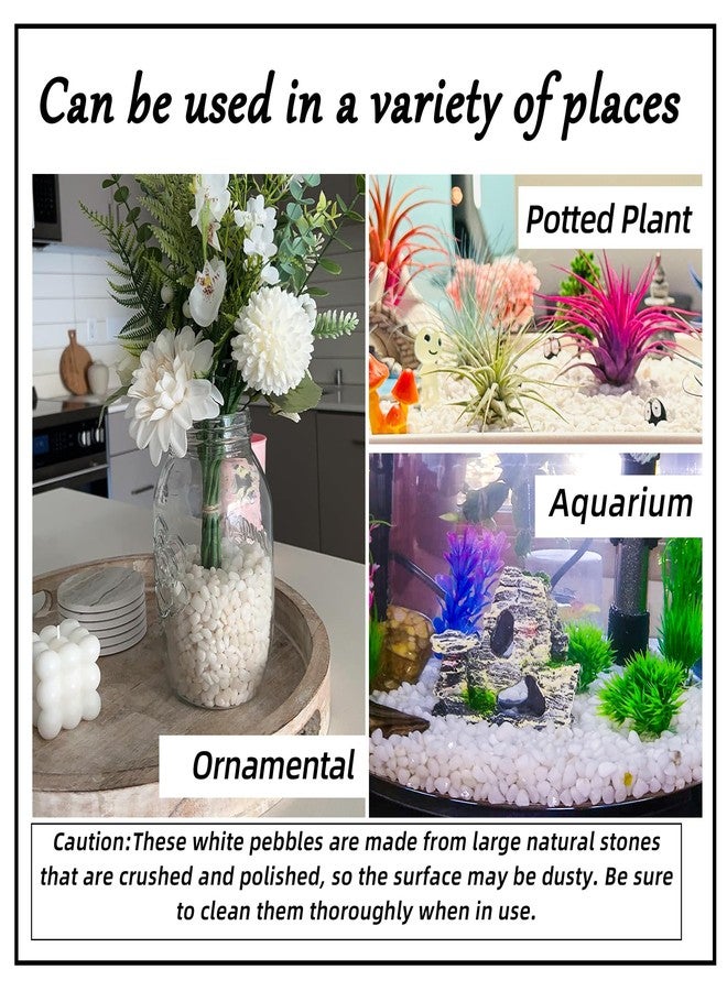 CJGQ 2.4lb 1/4" Small White Rocks for Plants,Potting,Succulents Aquarium Fish Tank Garden Vases Decorative Pebbles Gravel Rocks Stones - Image 4